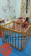 Cũi 3D 4 cánh xoan đào NEW